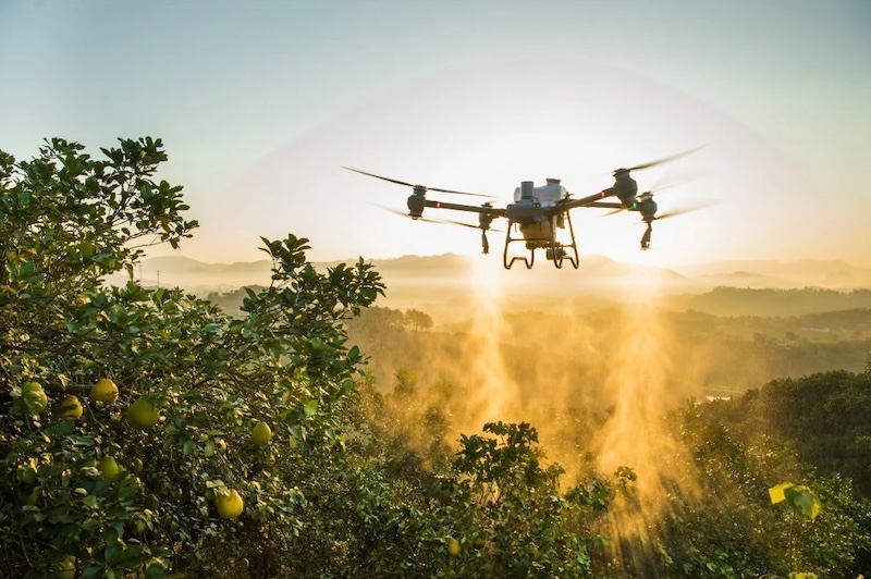 dron pro zemedelstvi DJI
